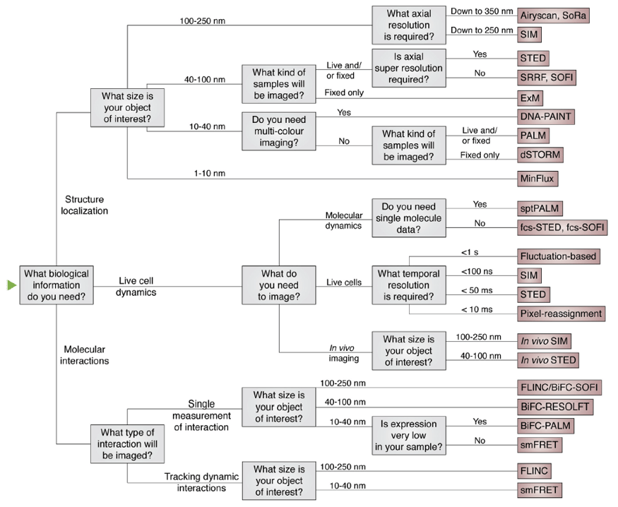 Choose your technique flow diagram_Valli et al