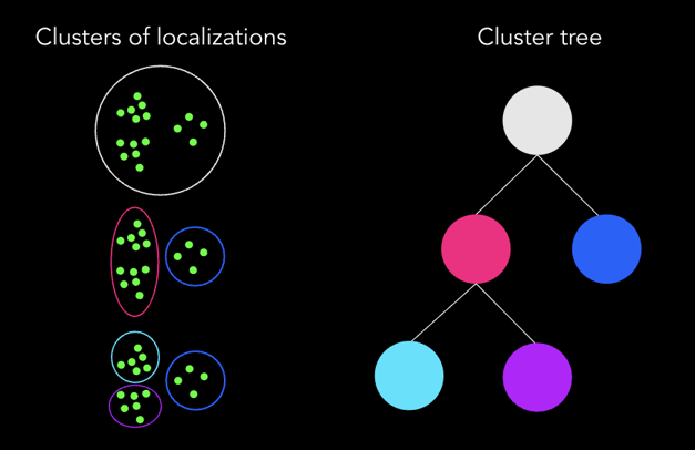 Cluster tree schematic
