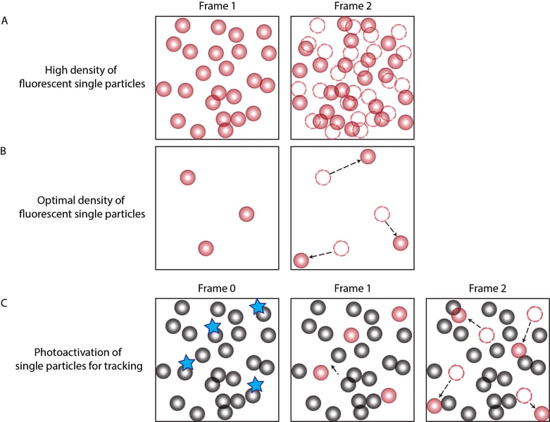 Figure 1 - Density and SPT