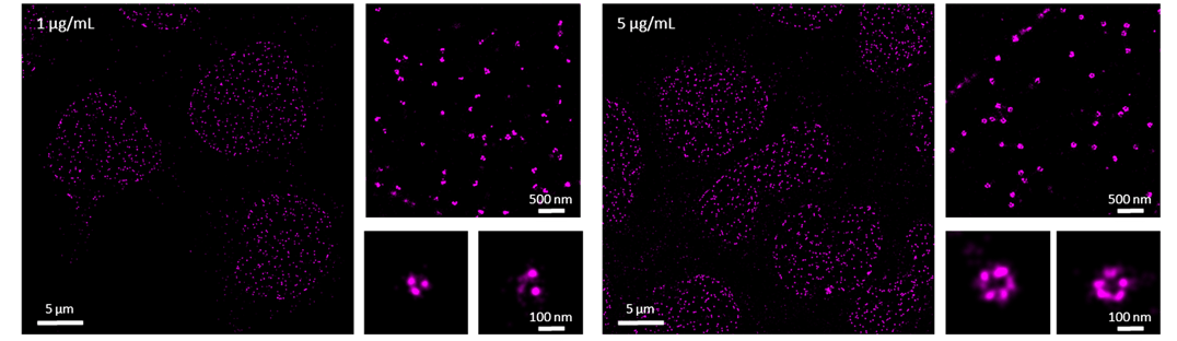 Figure1_dSTORM dos and donts