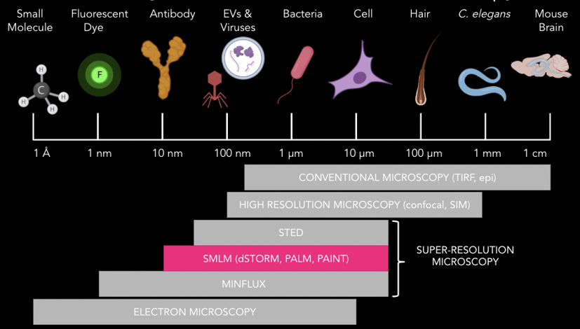 Microscopy across scales