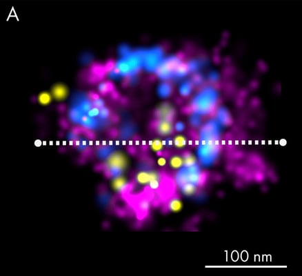 exosome_linescan_a-84d16fde06-1-1024x936