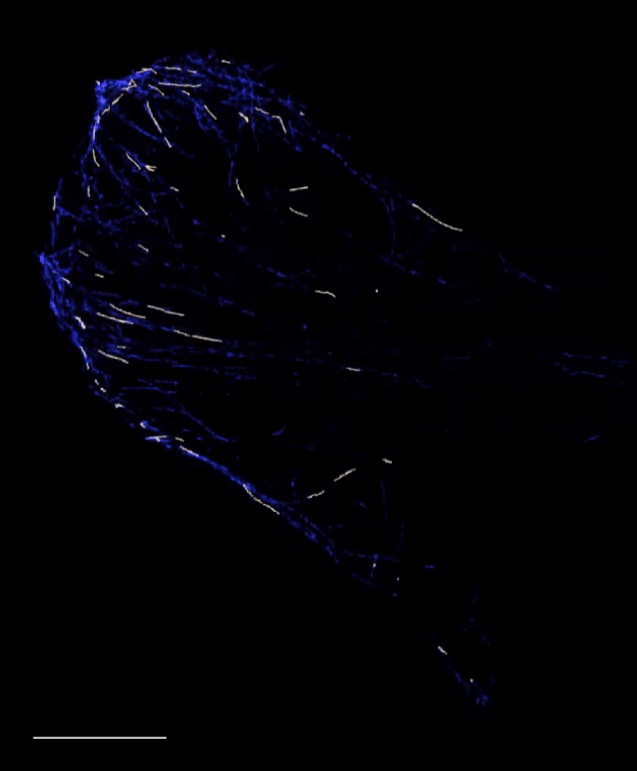 Particle Tracking Challenge